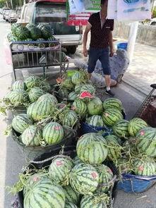 台州网红吃瓜事件,揭秘网络舆论的风暴与真相